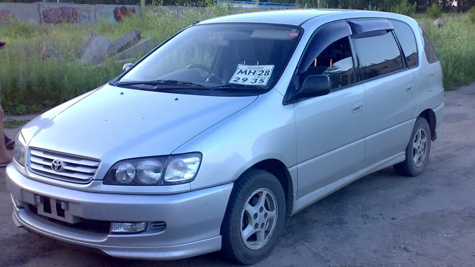 Купить Ипсум 10 В Иркутске